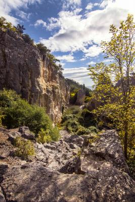 Прикрепленное изображение: _MG_8067 копия.jpg